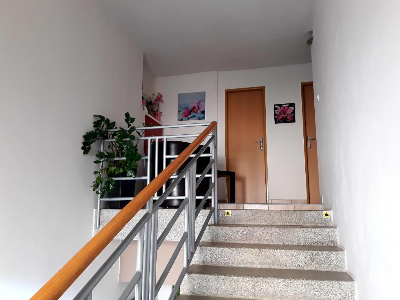 Penzión Fox Nemšová Exterior foto